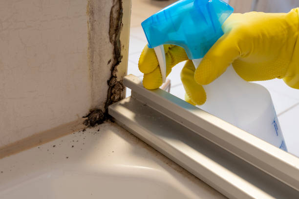 Best Professional Mold Removal  in Villas, NJ