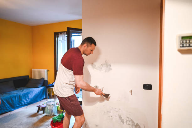 Best Residential Mold Removal  in Villas, NJ