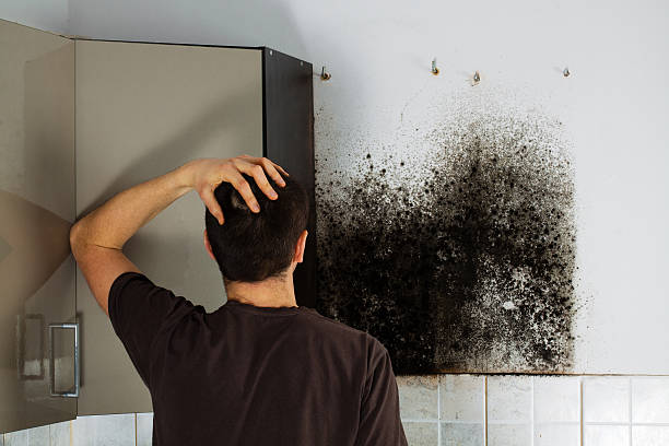 Water Damage Restoration in Villas, NJ
